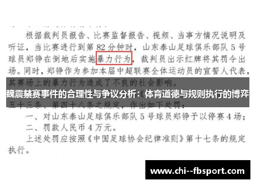 魏震禁赛事件的合理性与争议分析：体育道德与规则执行的博弈