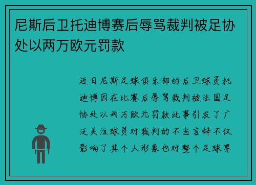 尼斯后卫托迪博赛后辱骂裁判被足协处以两万欧元罚款
